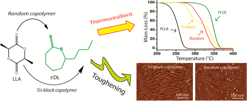graphical abstract article 4