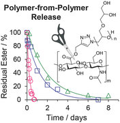 graphical abstract of article 1