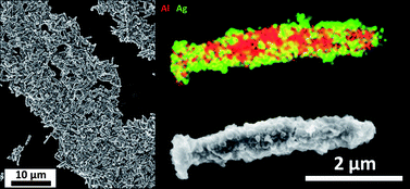 graphical abstract article 6