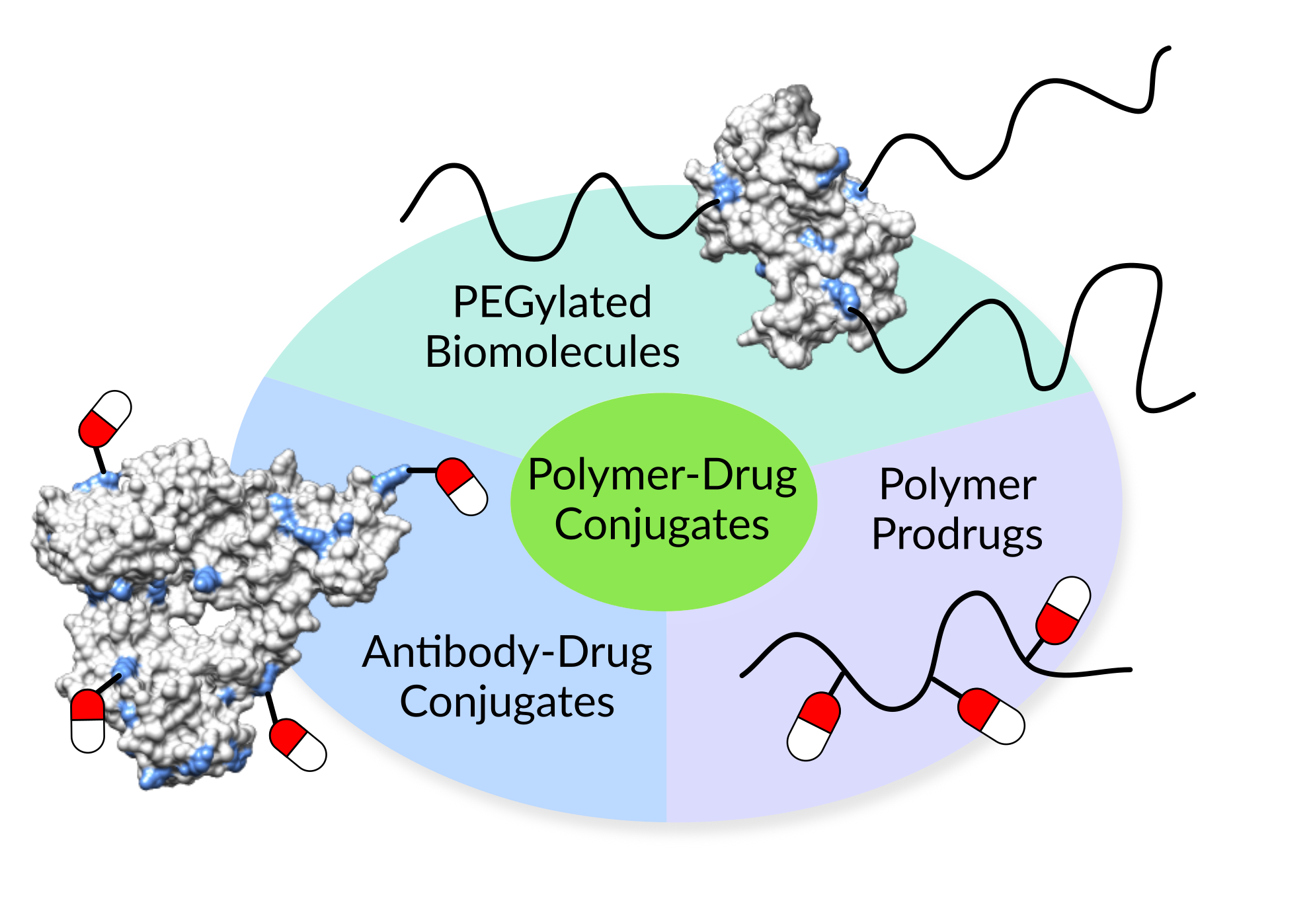 Polymer-drug conjugates: idea and implementation
