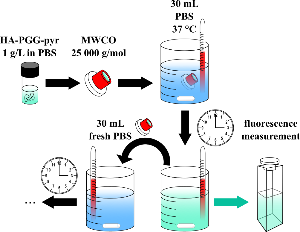Schematic of microdialysis procedure
