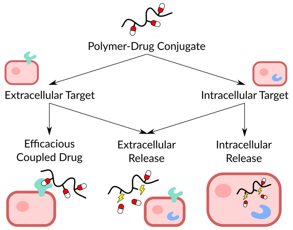 Polymer-drug conjugates classified by target and release site